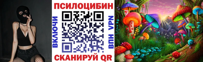 Псилоцибиновые грибы Psilocybe  Жуков 